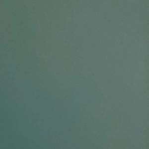 Meet your Posher, Ava